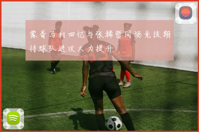 蒙哥马利回忆与张稀哲同场竞技期待球队进攻火力提升